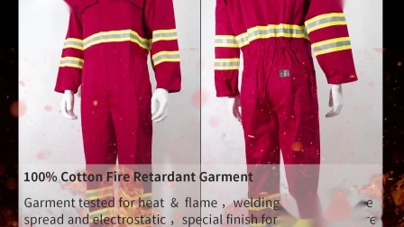 Workwear Coverall with 100% Polyester Fr Anti-Static and Flame Retardant Protective for Industry/ Hospital